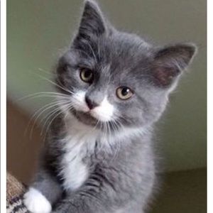 Meet your Posher, Jen